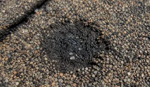Hail storm Minneapolis damage - a hail impact on an asphalt shingle near Saint Anthony with granules knocked loose to expose the mat - sized lrg