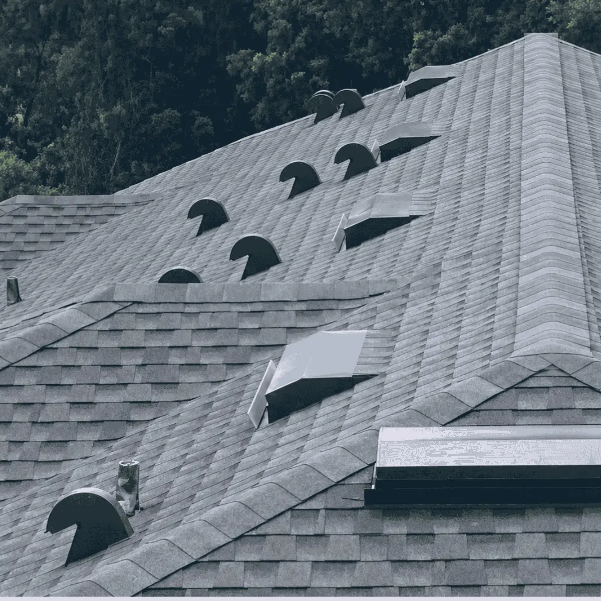 Townhome exterior after a multi-building asphalt shingle roof replacement ran by Lewis May