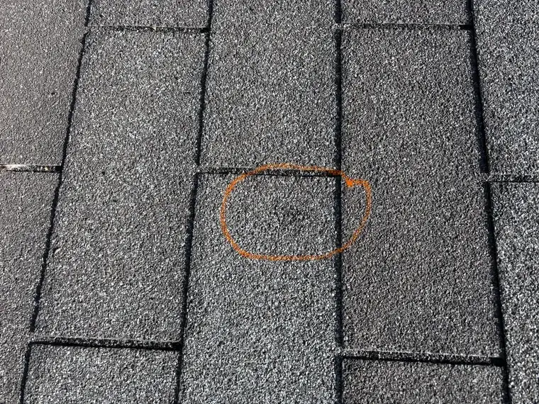 The same St. Anthony shingle photograph with one hail impact circled on the image in orange.