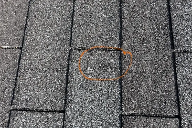 Asphalt shingle with one hail impact circled in orange on the photograph.
