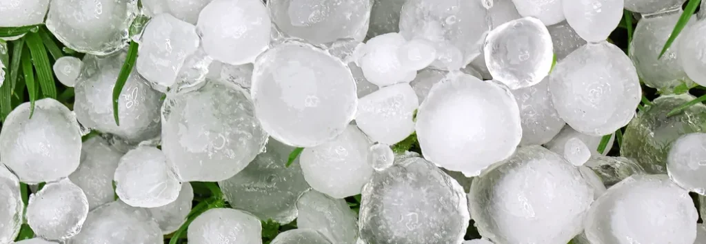 Close-up of a pile of large hailstones on green grass