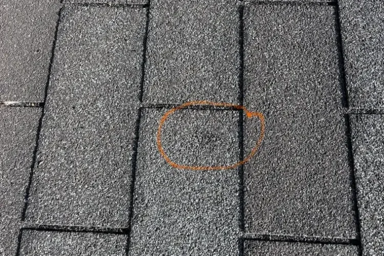 The same St. Anthony shingle photograph with one hail impact circled on the image in orange.