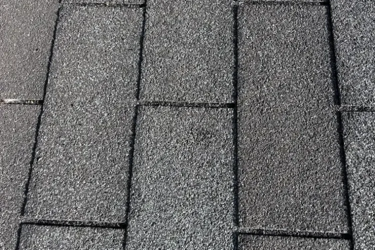 Three tab asphalt shingles on a St. Anthony roof photographed with no markup, before the impact was circled.